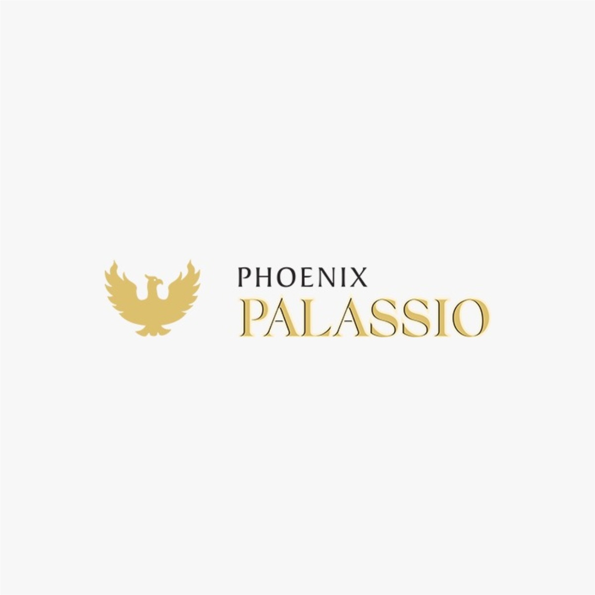 Wonderblock Live Now at Phoenix Palassio: Where Creativity Comes to Life!